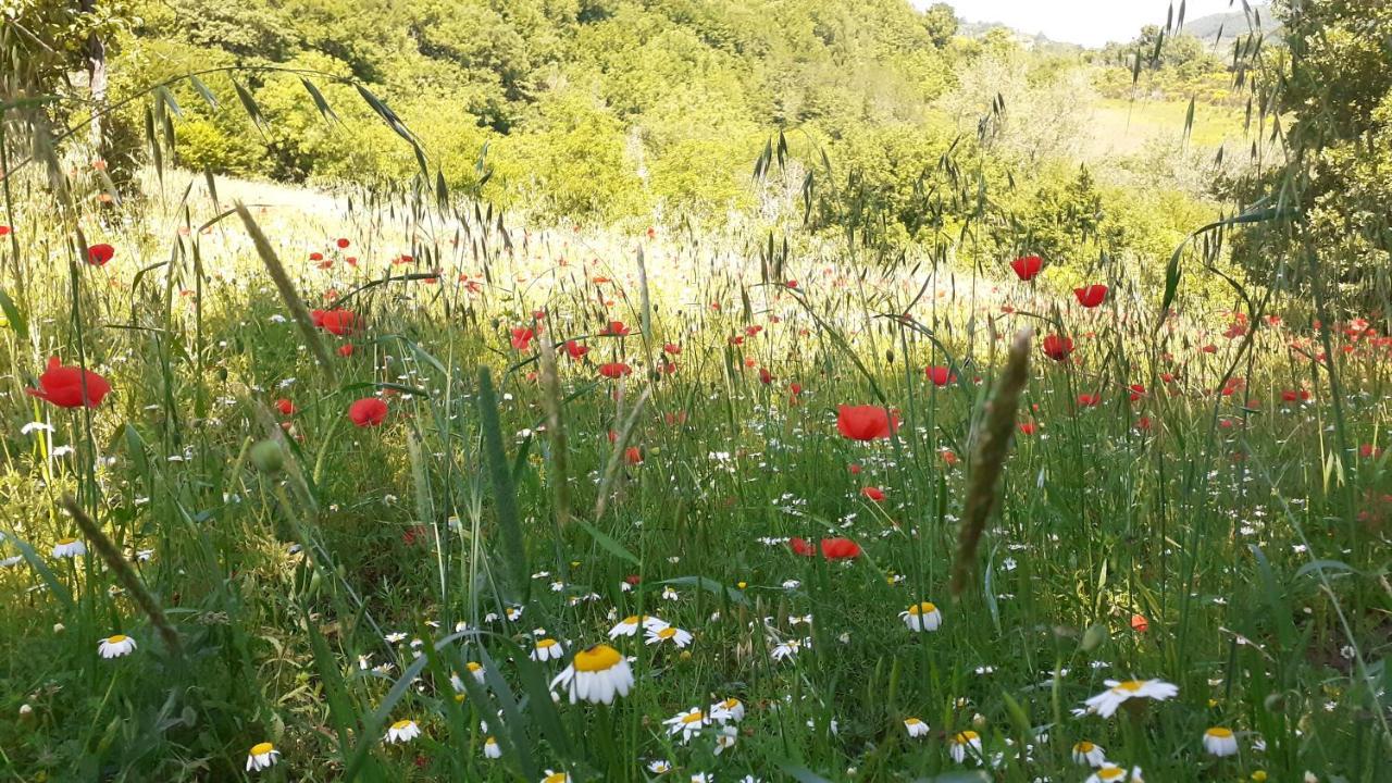 Agriturismo Marcofrate, A Retreat In The Nature Valtopina エクステリア 写真