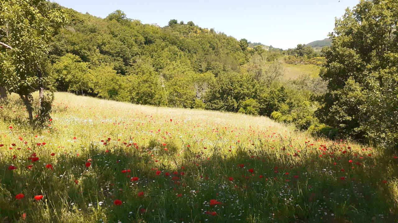 Agriturismo Marcofrate, A Retreat In The Nature Valtopina エクステリア 写真